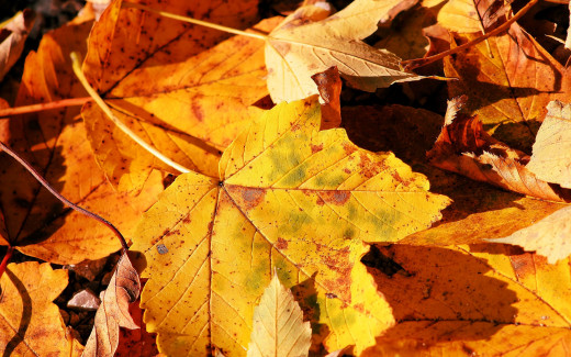 1718435 (a): :2560x1600